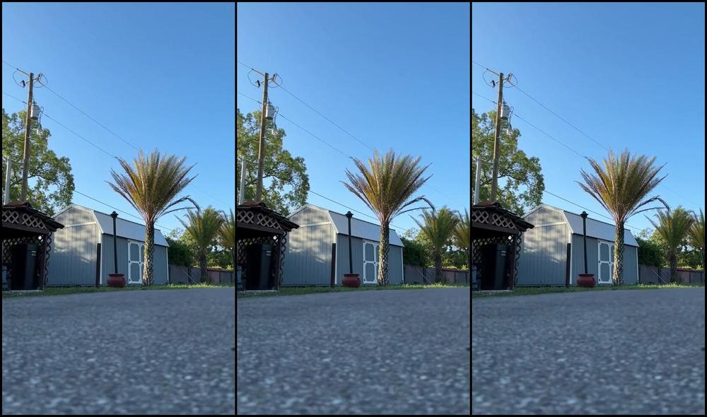 Riannekeene's Onlyfans Video: Bored & Buying a Pickleball for Today