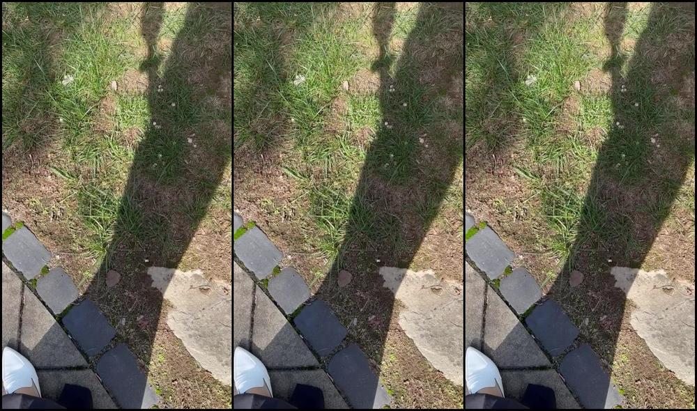 Princess Amber Nicknamed Worshipamber 09 29 2025 Onlyfans Video Making Sure Hes Still Working Even When Im Not Watching