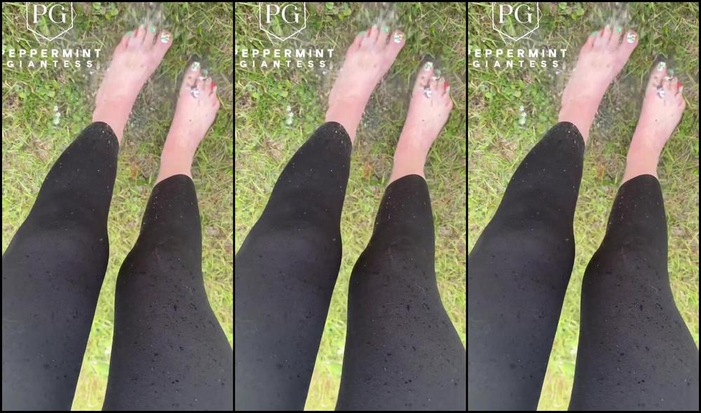 Peppermint Giantess Nicknamed Peppermintgiantess 01 01 2026 Onlyfans Video Bts Washing My Size16 Feet After A Cake Smashing Custom