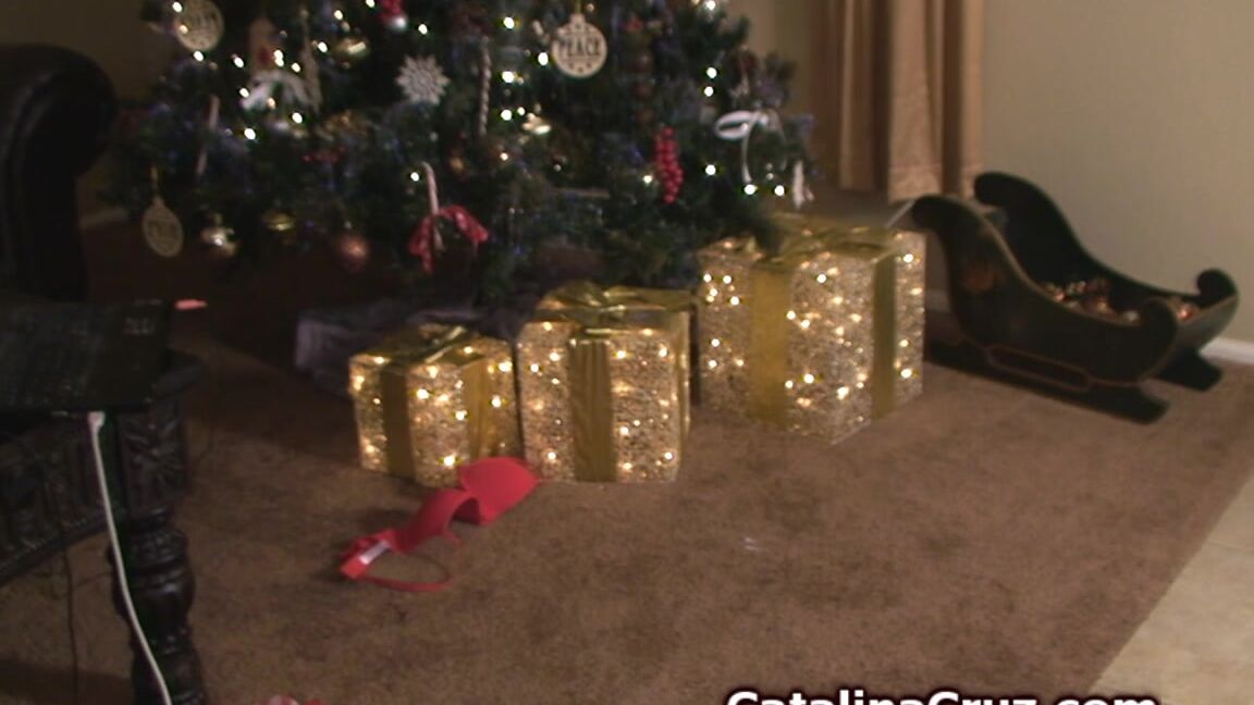 Catalinacruz Horny Elf