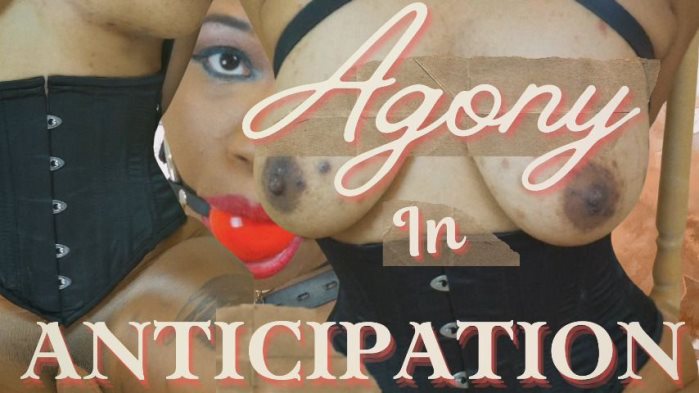 Poster for Agony In Anticipation - Clips4Sale Creator - Cupcake Sinclair - Corset, Pantyhose (Кекс Синклер Колготки)