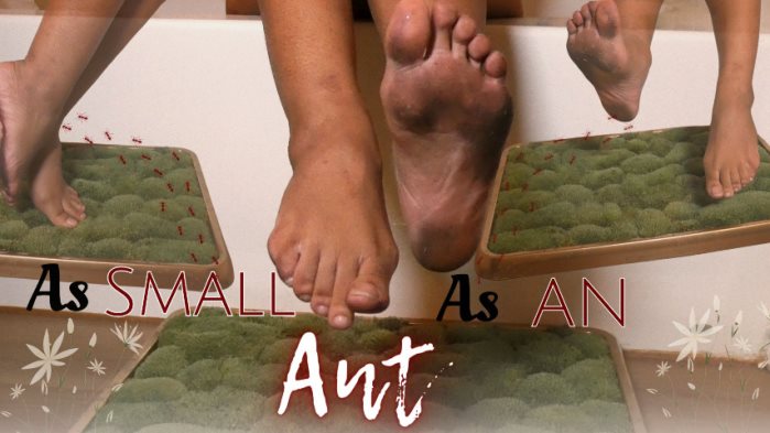 Poster for Cupcake Sinclair - Clips4Sale Girl - As Small As An Ant - Barefoot, Dirtyfeet (Кекс Синклер Босиком)