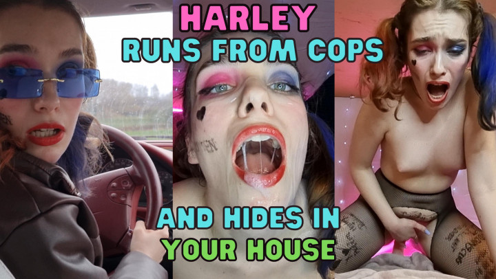 Poster for Harley Quinn Runs From Cops Pov Fuck - April 26, 2022 - Wetschoolgirl - Manyvids Star - Taboo, Pov, Blackmail Fantasy