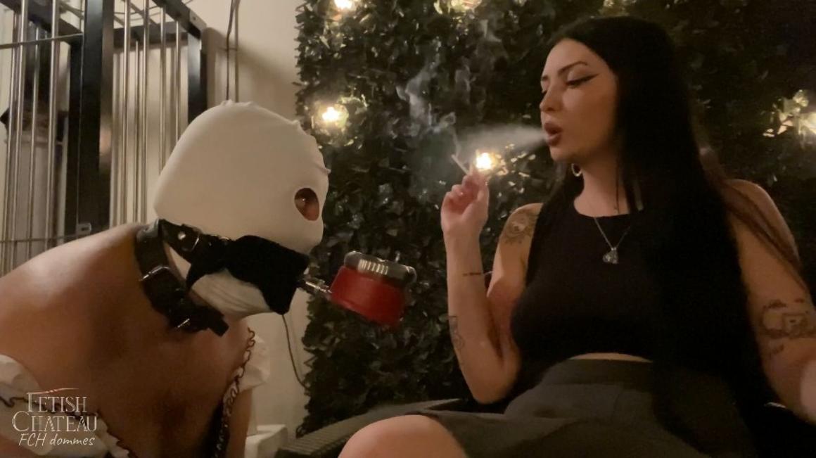 Poster for Manyvids Model - Mistress Glamorous Will Use This Loser As Her Human Ashtray - August 15, 2023 - Fchdommes - Smoking, Human Ashtray (Человеческая Пепельница)