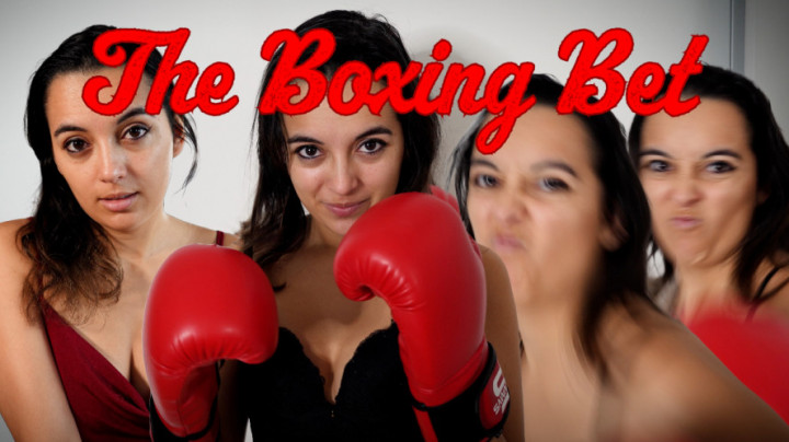 Poster for Summer Fox - The Boxing Bet - Manyvids Star - Humiliation, Female Boxing, Boxing (Летняя Лиса Женский Бокс)