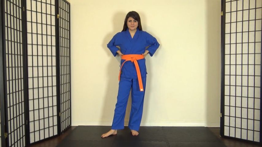 Poster for Raquel Pov Karate Kicking & Ballbusting - July 30, 2022 - Roxieraefetish - Manyvids Star - Sfw, Ballbusting