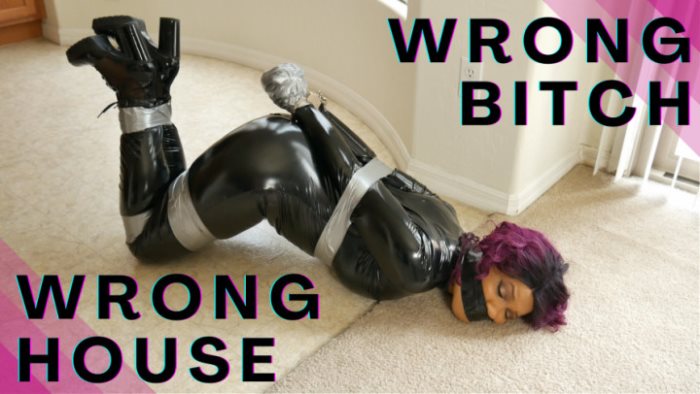 Poster for Wrong Bitch Wrong House - Cupcake Sinclair - Clips4Sale Star - Gagtalk, Pvcvinyl (Кекс Синклер Пвхвинил)