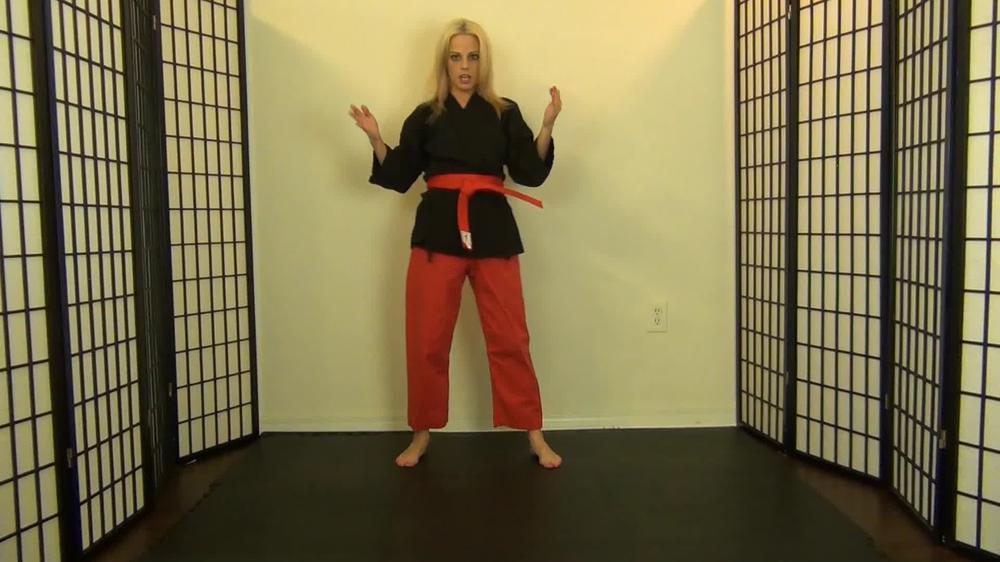 Poster for Manyvids Girl - Roxieraefetish - Roxieraefetish Roxie Raes Karate Kicking Chopping - Roxieraefetish, Siterip