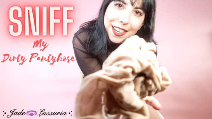 Poster for Sniff My Dirty Pantyhose - Manyvids Model - Jadelussuria - Femdom Pov, Pantyhose, Nylon Worship (Колготки)