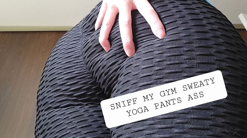 Poster for Sniff My Sweaty Gym Yoga Pants Ass - September 28, 2022 - Alleriamystic - Manyvids Model - Sweat Fetish, Ass Sniffing, Ass Worship (Фетиш Пота)